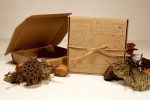 cutie din lemn cadou pentru setul de ornamente brad bunica si bunicul